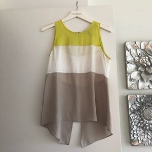 BCBG Lucie Blocked Sleeveless Top